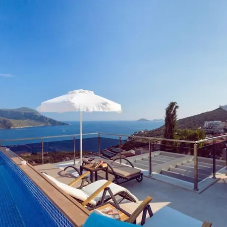 Luxury With Private Swimming Pool Apartment
