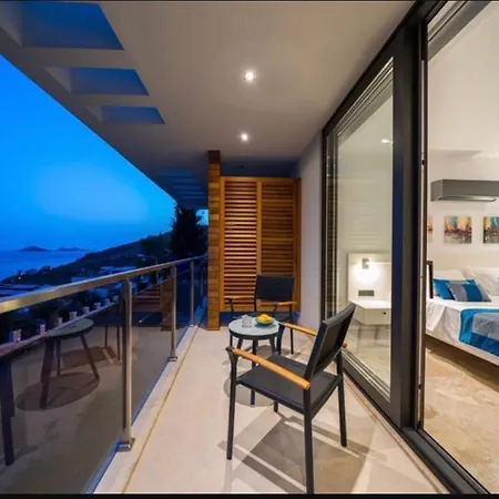 Luxury With Private Swimming Pool Apartment